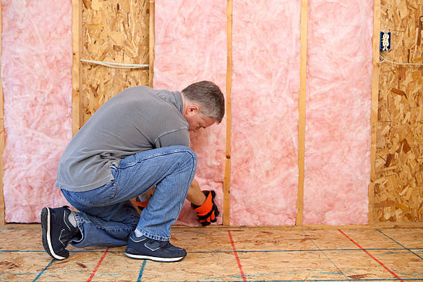 Best Specialized Insulation Services in Meadville, PA